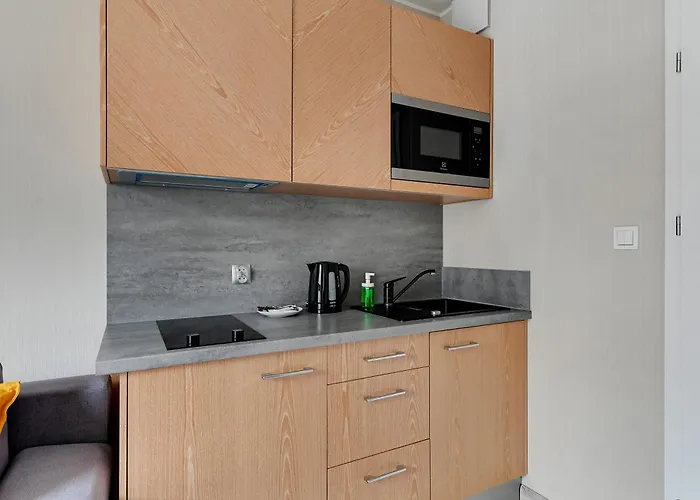 Apartman Old Town Angielska Grobla & By Renters Gdańsk