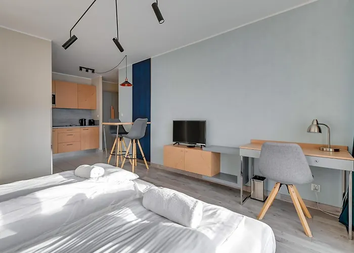 公寓 Old Town Angielska Grobla & By Renters