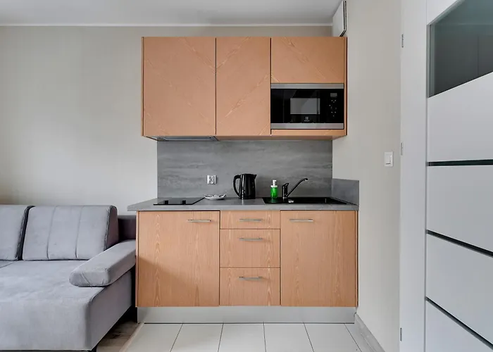 公寓 Old Town Angielska Grobla & By Renters
